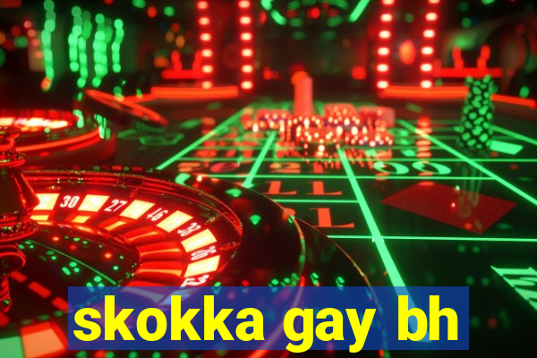 skokka gay bh